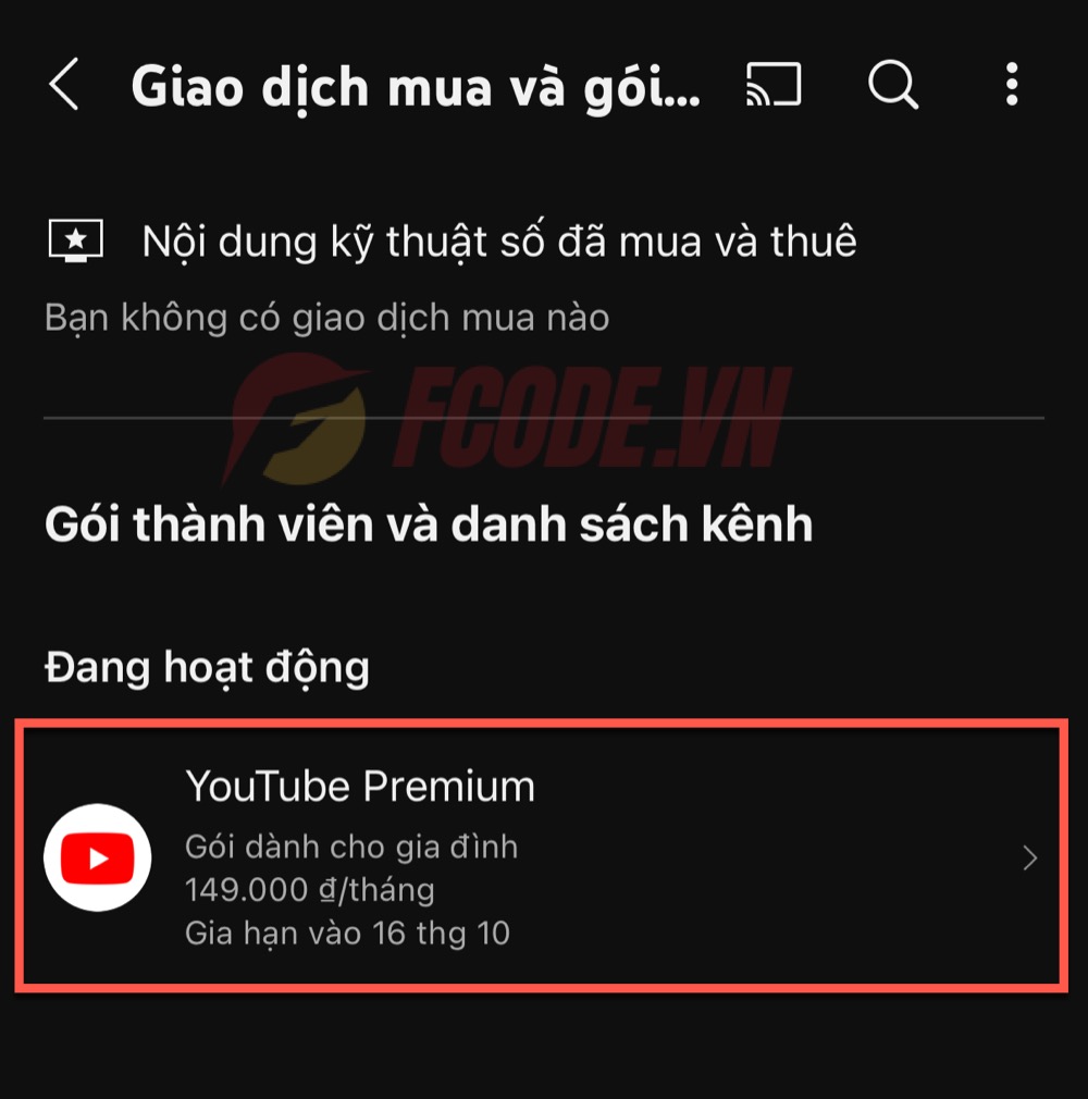 chọn gói Youtube Premium