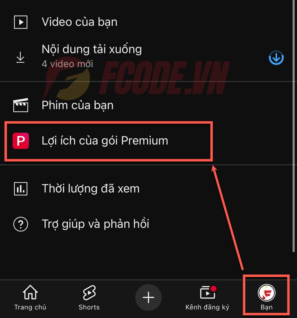 truỵ cập lợi ích premium
